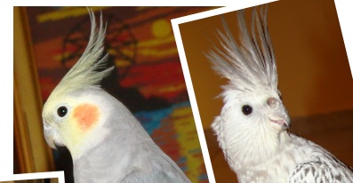 �������� ������������ ���� � �����x � 24 �� 28 ������