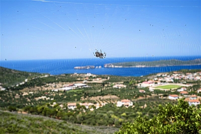 ����� �����: ���������� - ������ ���� �����. ����� 11 - �����