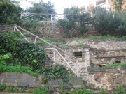 IMG_5649.JPG