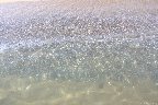 IMG_9542.jpg
