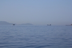 IMG_1202.JPG