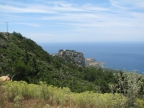 IMG_6933.jpg