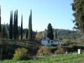 DSC04814.JPG