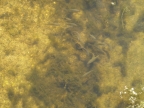 DSCF1979.JPG