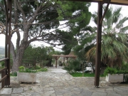 IMG_5850.JPG