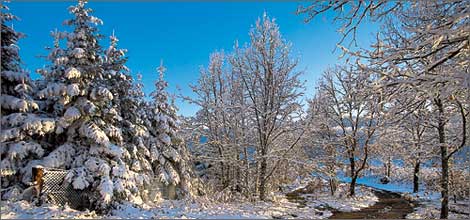 �� ������-������ ������ ������� ��������