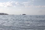 IMG_1853.jpg