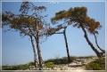 rodos_14