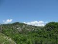 img_2752.jpg