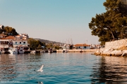 IMG_0076.jpg