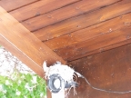 DSCF1848.JPG
