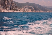 IMG_9791.jpg