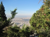 IMG_7429.JPG