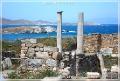 delos_215