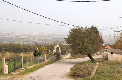 ������ ���������� ���� �� ������