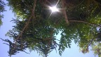 WP_20150708_011.jpg