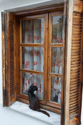 ��� �� 5 ��� � ������ ����� �� 200 000 ����