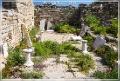delos_6