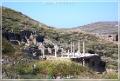 delos_46