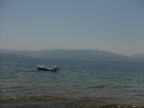 S6303262.JPG