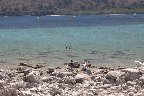 IMG_8530.jpg