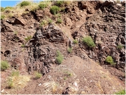 ������� ����� ���� �������