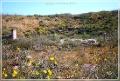 delos_43