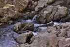 seven_104.jpg