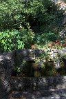 IMG_8571.jpg
