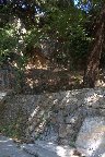 IMG_8578.jpg