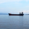 В августе только 35% управляемых Грецией танкеров грузили нефть из РФ
