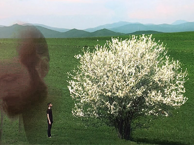 ������������� ���������� �� ���������. ������������ �������� �������� ���������