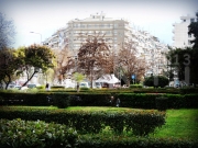 DSCN0974.JPG