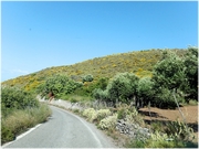 ������ �� ������