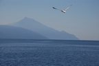 DSC_3865.jpg
