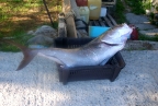 DSCN7452.JPG