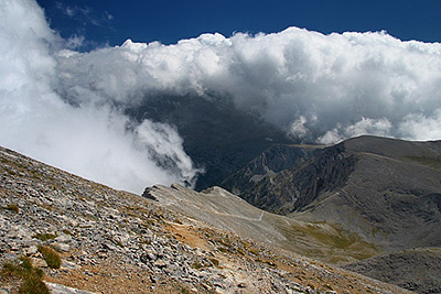 ����� �����: ��� ������. ��� ������.