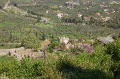 DSC_0236.JPG