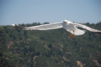 DSC_3992.jpg