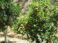 IMG_0177_small