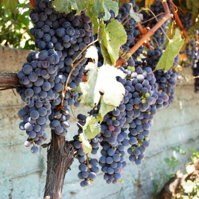 �������� ���������� ����, ��� ��� ���� � ������!