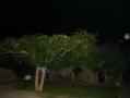 DSC01770