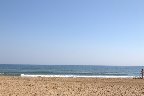 IMG_8483.jpg