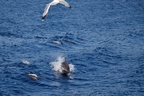 DSC_3894.jpg