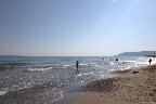 IMG_8500.jpg