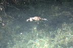 IMG_8561.jpg