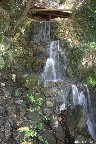 IMG_8582.jpg