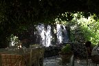 IMG_8572.jpg
