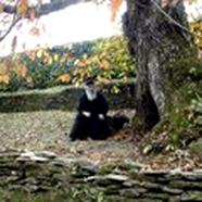 �������� "��� ����" ���������-������ ������� � ������ ���������