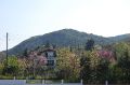 DSC_0136.JPG